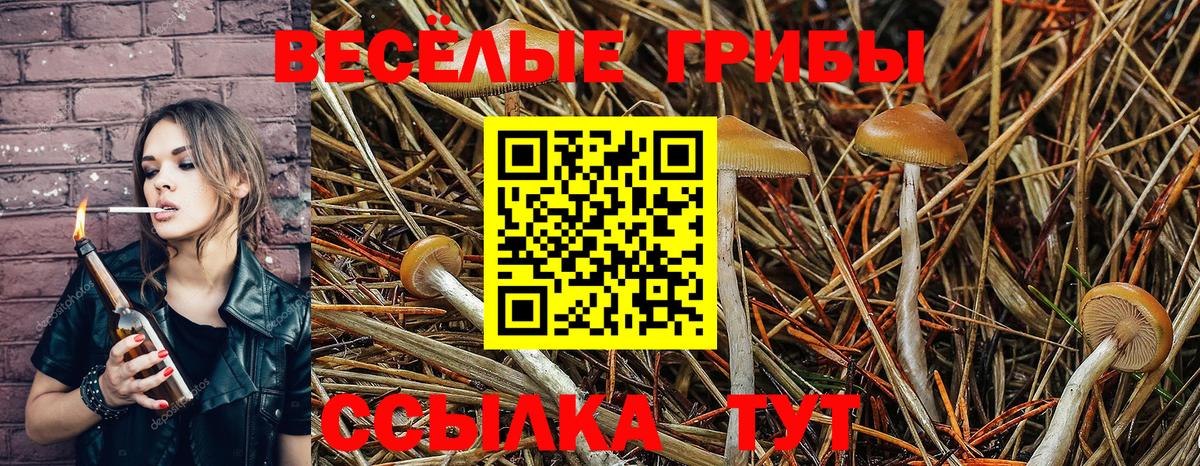 Псилоцибиновые грибы мицелий  Галлюциногенные грибы Psilocybine cubensis  Калининград  Вход с VPN 